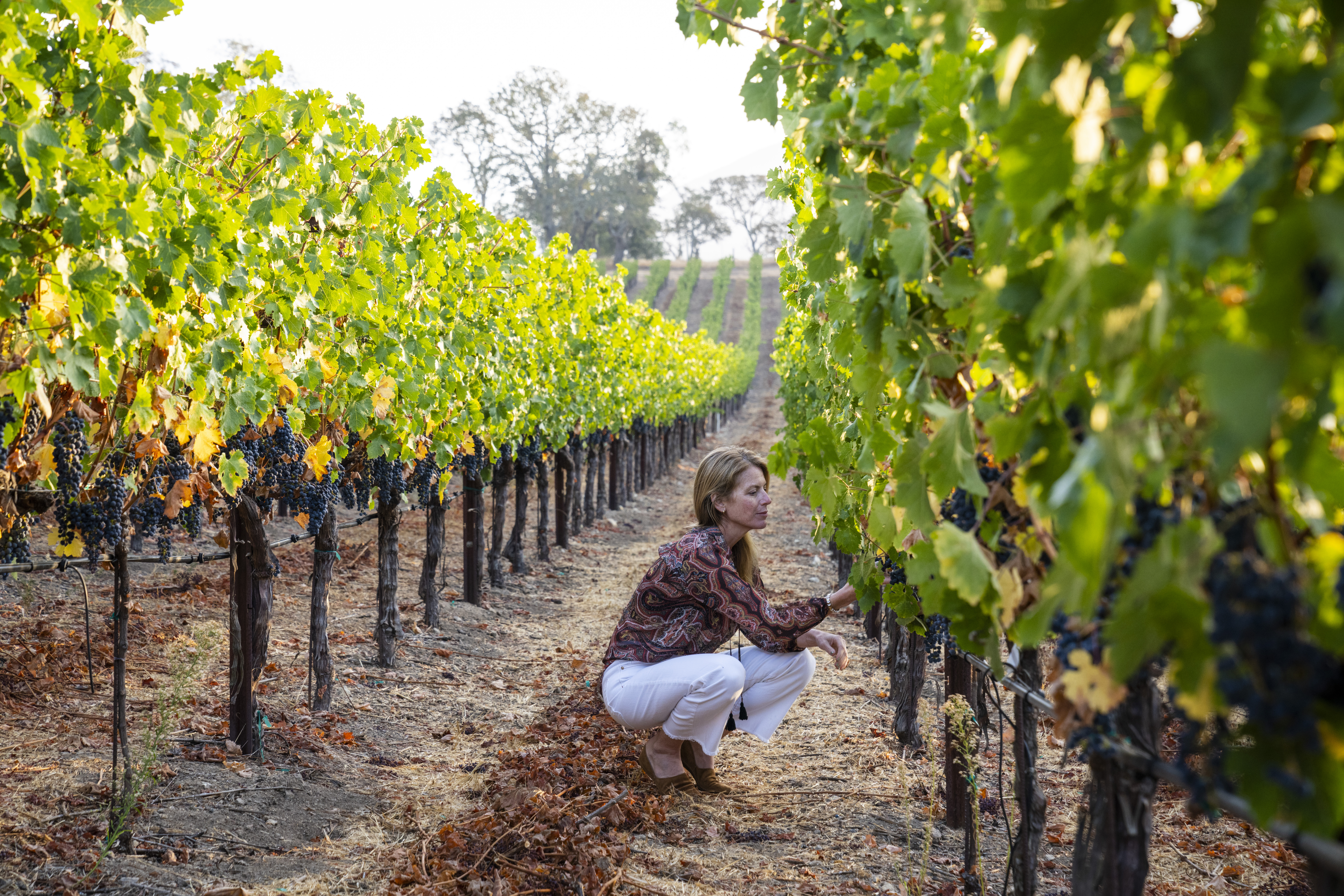 Rachel Martin in the vineyard; photo courtesy of Martin