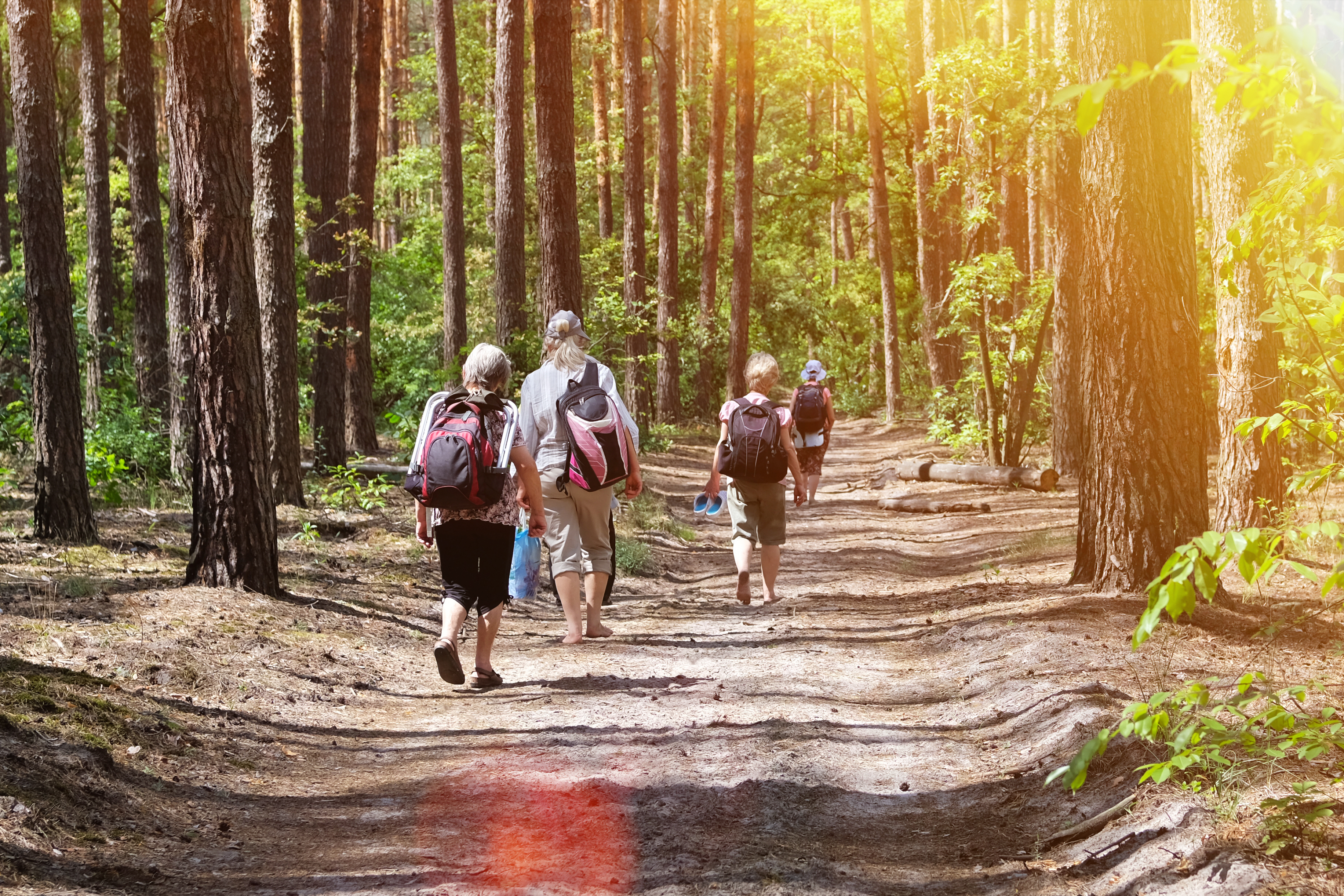 Soft hiking; photo by Ga Na